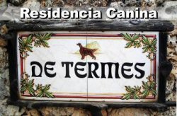www.determes.com
