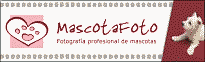 mascotafoto