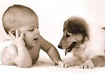 Los perros y los niños Los niños y los perros