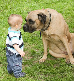 Perros y Niños