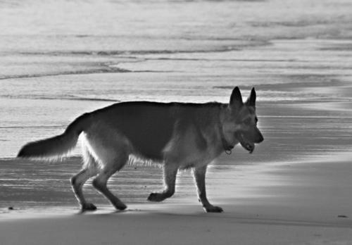 Image 1706