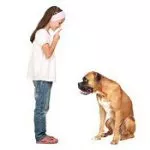 Los perros y los niños