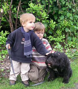 No permitas que tus hijos le den �rdenes al perro