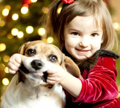 La convivencia entre perros y niños