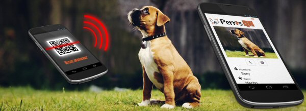 Código QR perros