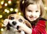 Ni�os y perros conviviendo