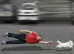 La educación canina
