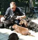La impregnacin o impronta del cachorro