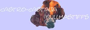 www.castro-castalia.com/