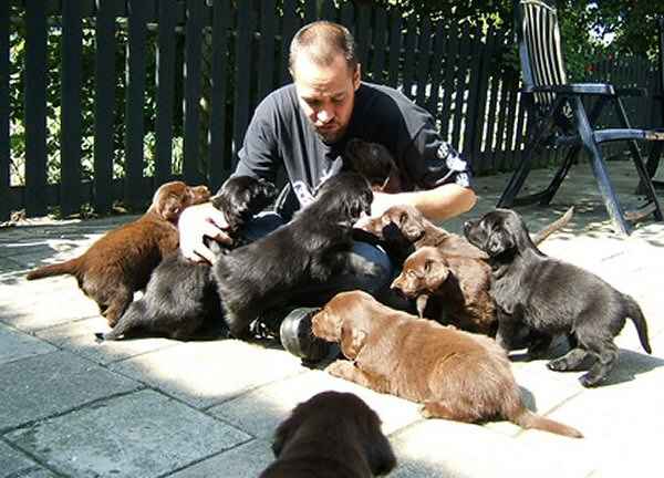 La impregnacion del cachorro, la impronta del cachorro